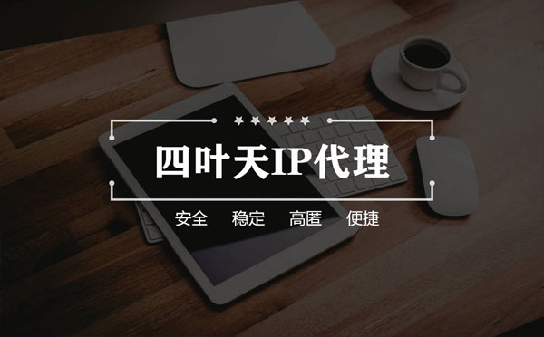 【瑞安代理IP】如何快速搭建代理IP？怎么检查代理的效果？