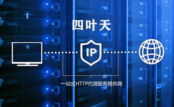 【瑞安代理IP】代理IP的主要用途和使用注意事项